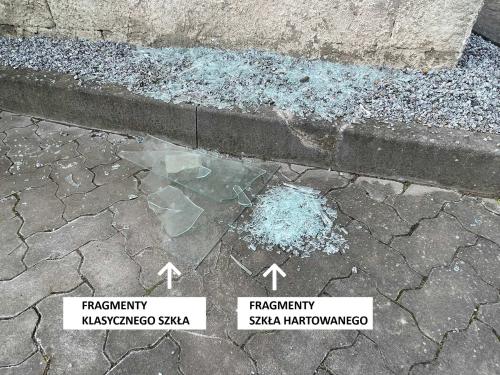 szklarnia VITAVIA VENUS 5000 szkło 3 mm zielona