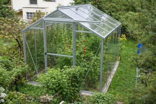 szklarnia LANITPLAST LIMES Viva V6/3 1,97x3 m szkło 3 mm