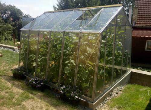 szklarnia LANITPLAST LIMES Viva V7/6  2,47x5,95 m szkło 3 mm
